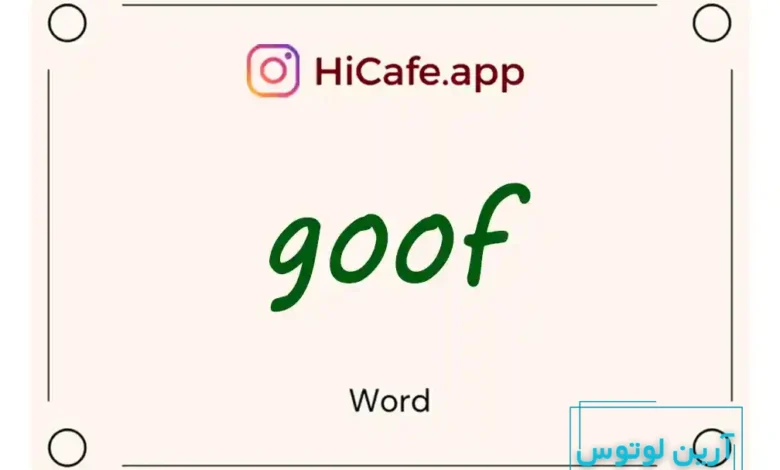 Meaning and usage of goof word