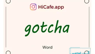 Meaning and usage of gotcha word