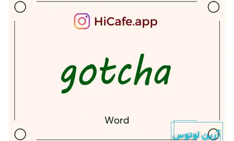 Meaning and usage of gotcha word