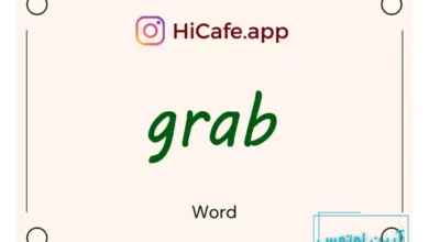 Meaning and usage of grab word