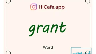 Meaning and usage of grant word