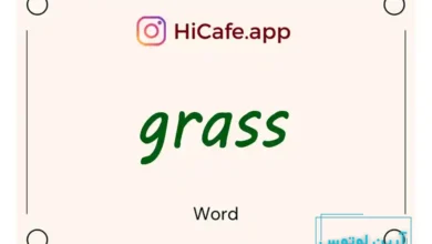 Meaning and usage of grass word