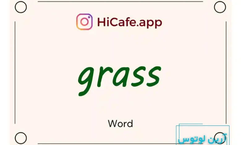 Meaning and usage of grass word