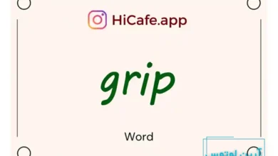 Meaning and usage of grip word