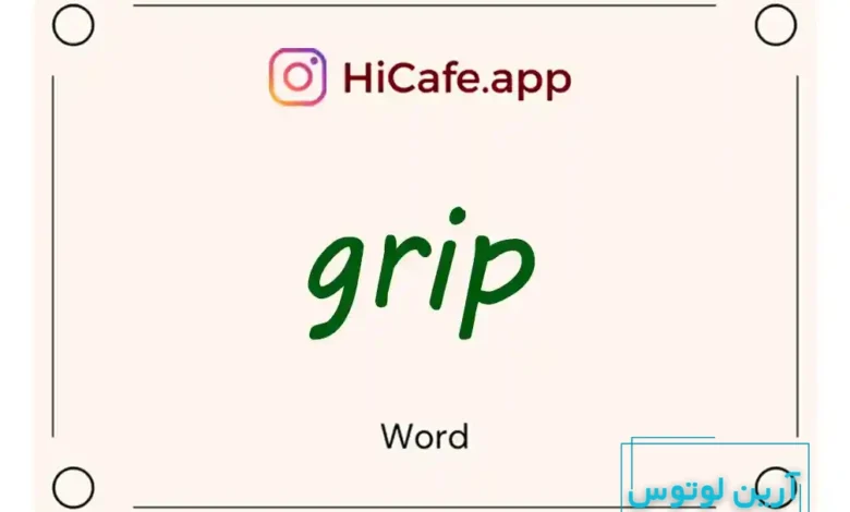 Meaning and usage of grip word