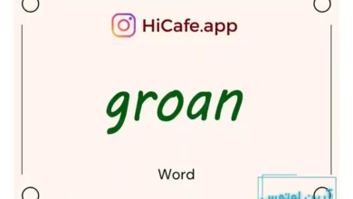 Meaning and usage of groan word