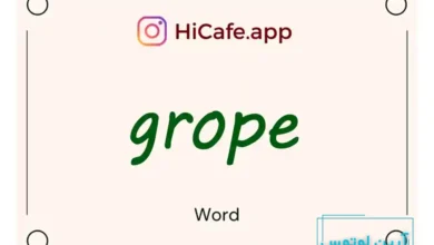 Meaning and usage of grope word