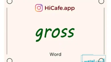 Meaning and usage of gross word