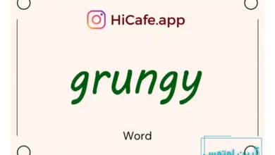 Meaning and usage of grungy word