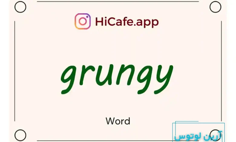Meaning and usage of grungy word
