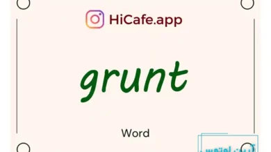 Meaning and usage of grunt word