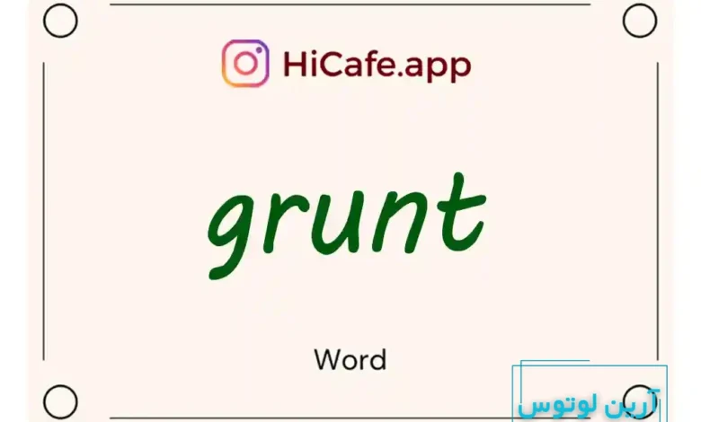 Meaning and usage of grunt word