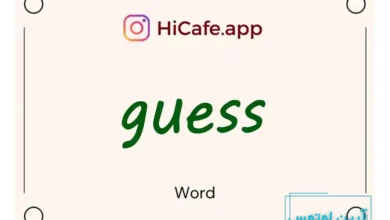 Meaning and usage of guess word