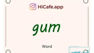 Meaning and usage of gum word