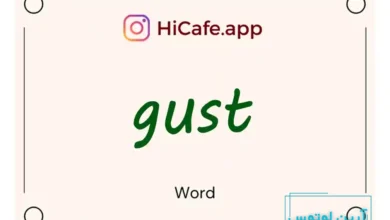Meaning and usage of gust word