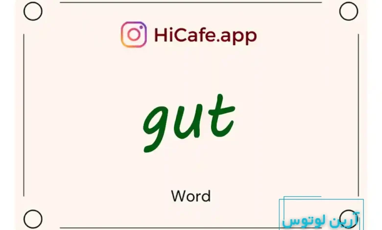 Meaning and usage of gut word
