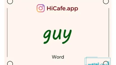 Meaning and usage of guy word