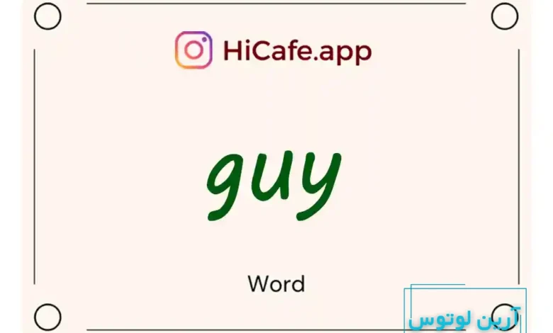 Meaning and usage of guy word