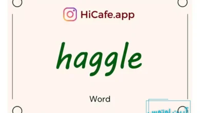 Meaning and usage of haggle word