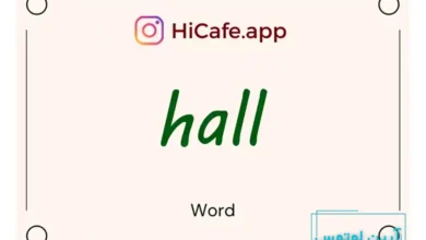 Meaning and usage of hall word