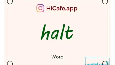 Meaning and usage of halt word