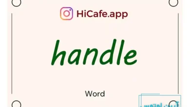 Meaning and usage of handle word