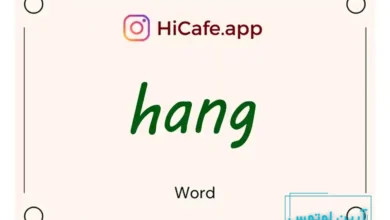 Meaning and usage of hang word