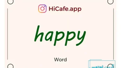 Meaning and usage of happy word
