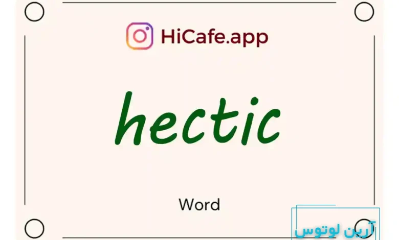 Meaning and usage of hectic word