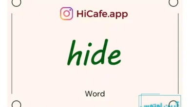 Meaning and usage of hide word