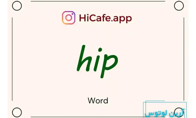 Meaning and usage of hip word