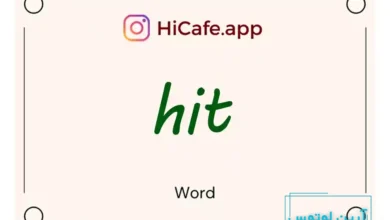Meaning and usage of hit word