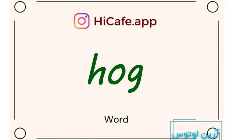 Meaning and usage of hog word