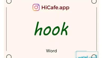 Meaning and usage of hook word
