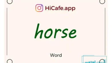 Meaning and usage of horse word