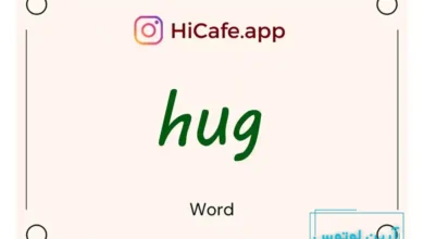 Meaning and usage of hug word