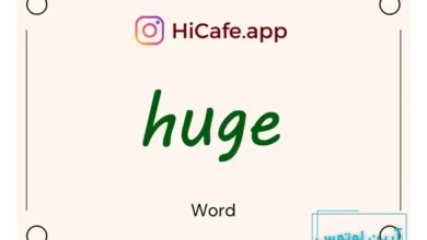 Meaning and usage of huge word