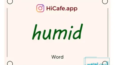 Meaning and usage of humid word