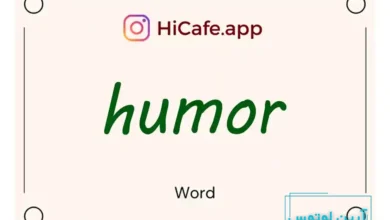 Meaning and usage of humor word
