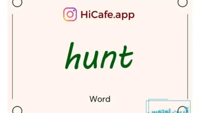 Meaning and usage of hunt word