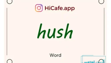Meaning and usage of hush word