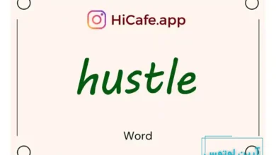 Meaning and usage of hustle word