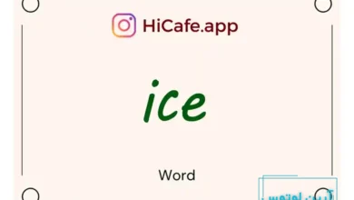 Meaning and usage of ice word