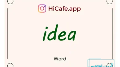 Meaning and usage of idea word