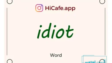 Meaning and usage of idiot word