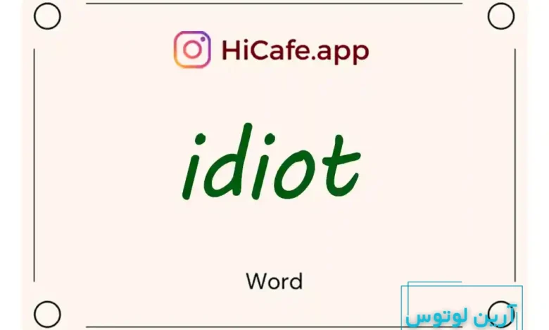 Meaning and usage of idiot word