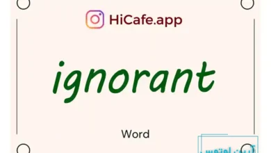 Meaning and usage of ignorant word