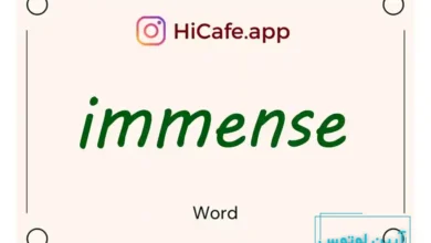Meaning and usage of immense word