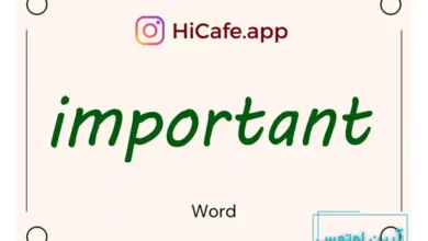 Meaning and usage of important word