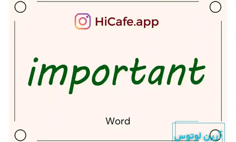 Meaning and usage of important word